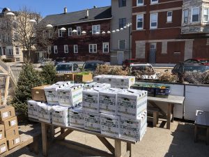 Produce from Common Pantry to be distributed at Middlebrow Bungalow, March 17.